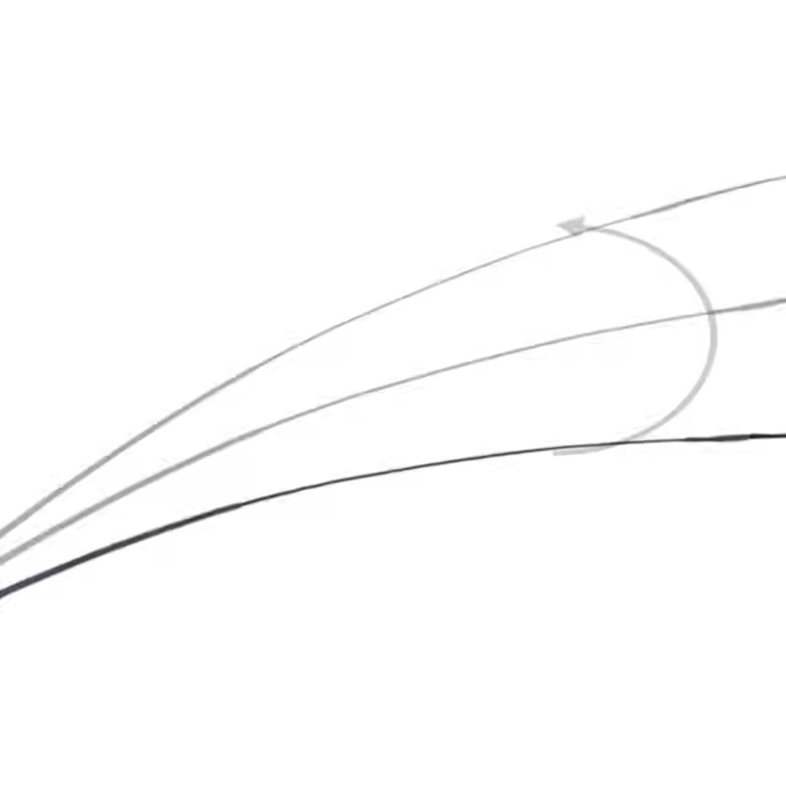 Adult Long Metal Nylon Riding  - Riding Crop Dressage recension och pris
