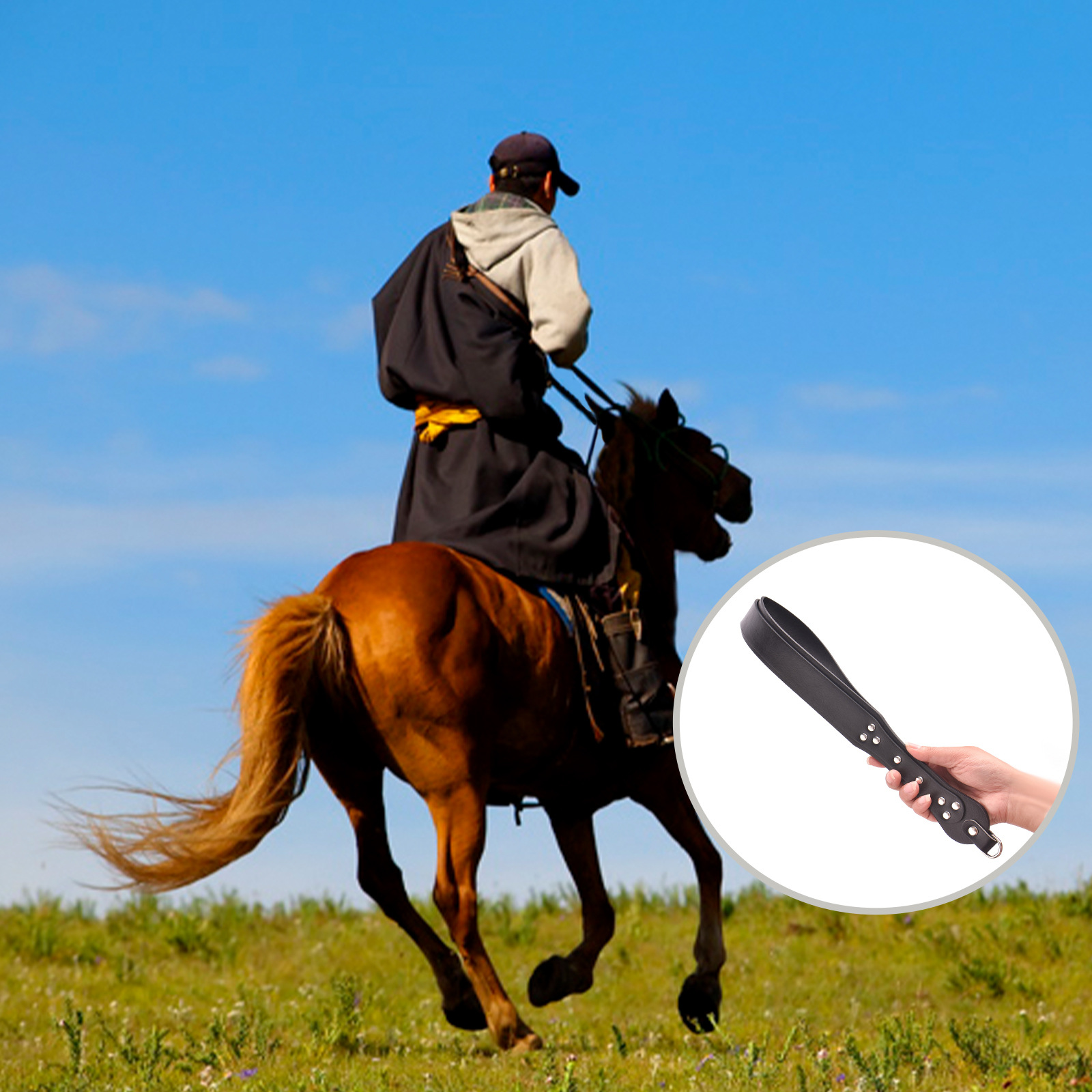 Equestrian Training Whip PU Le - Riding Crop Dressage recension och pris